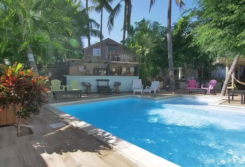 هتل Coco Island