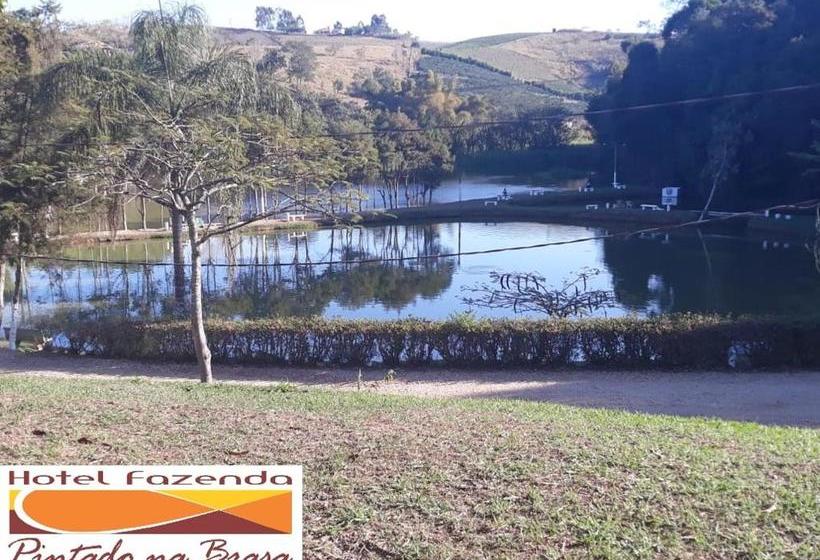 Отель Fazenda Pintado Na Brasa