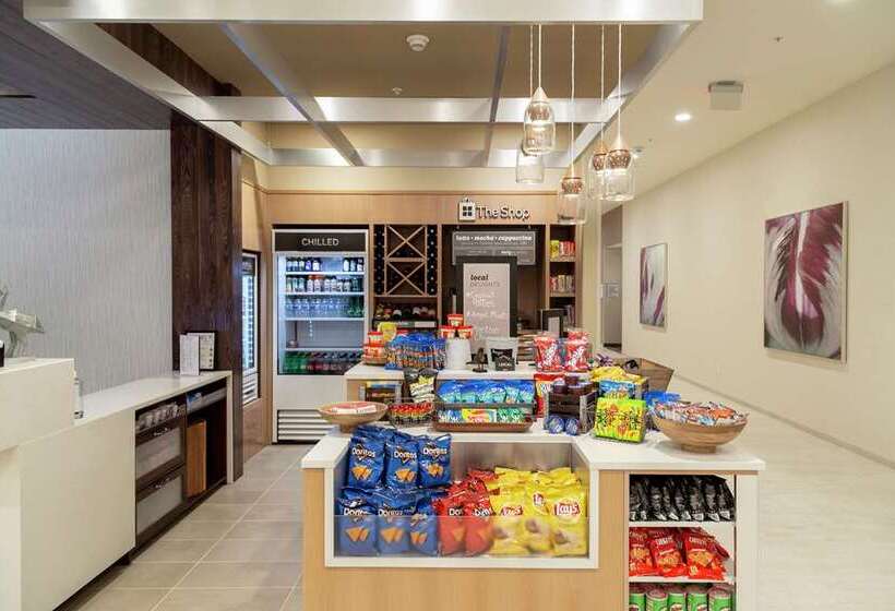 فندق Hilton Garden Inn Tampa Wesley Chapel, Fl