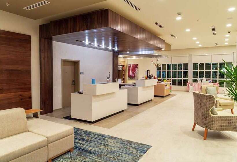 فندق Hilton Garden Inn Tampa Wesley Chapel, Fl
