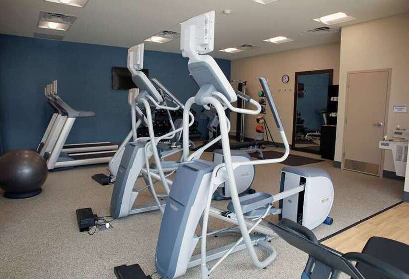 فندق Hilton Garden Inn Tampa Wesley Chapel, Fl