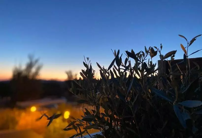 Les Terrasses D Aix   Studio Avec Grande Terrasse Privée