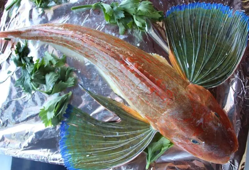 Retkeilymaja Hayalbaz Butik Otel