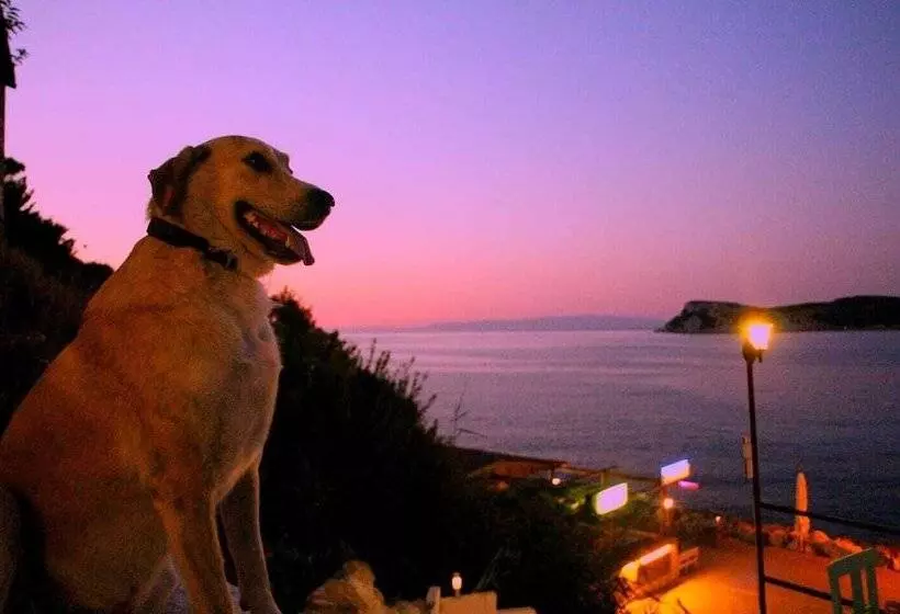 Retkeilymaja Hayalbaz Butik Otel