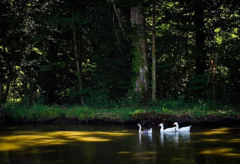 هتل Hôtel Du Domaine De La Groirie   Le Mans