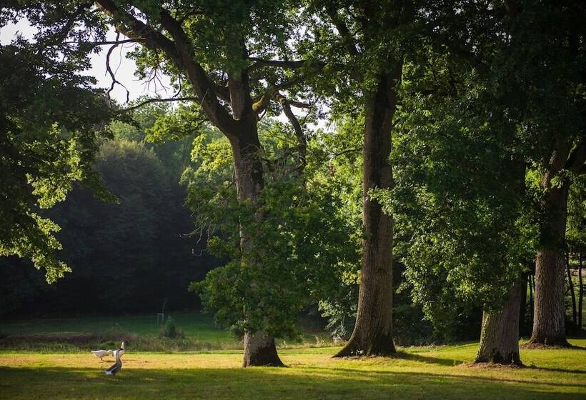 هتل Hôtel Du Domaine De La Groirie   Le Mans