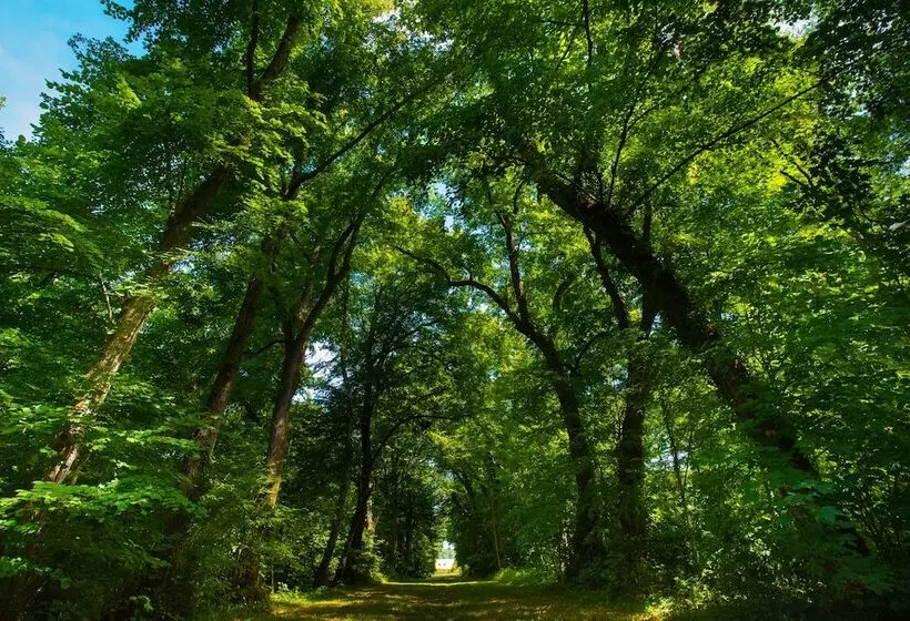 ホテル Hôtel Du Domaine De La Groirie   Le Mans