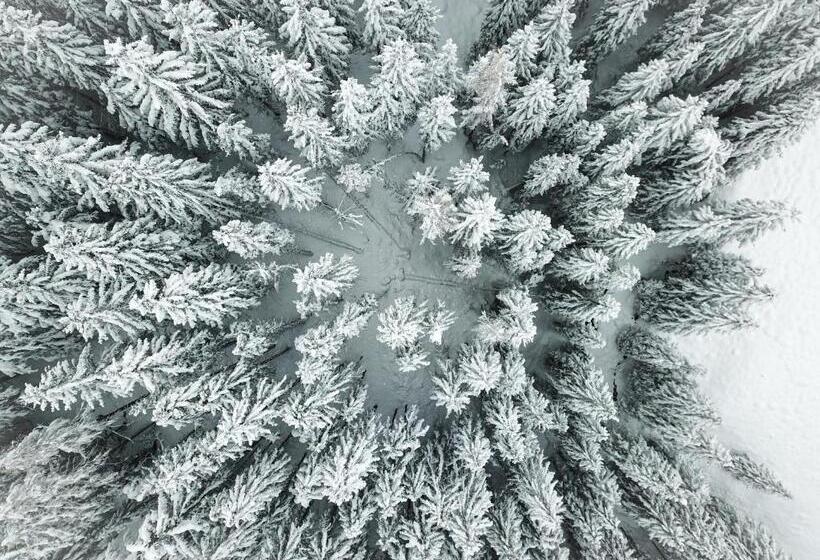 فندق Garni Sonnenhalde