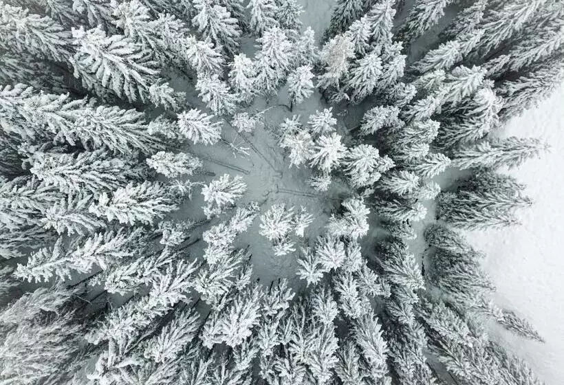 هتل Garni Sonnenhalde
