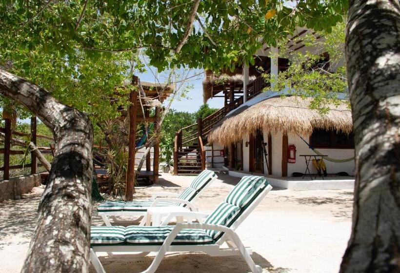 酒店 La Casa Del Alux   Adults Only