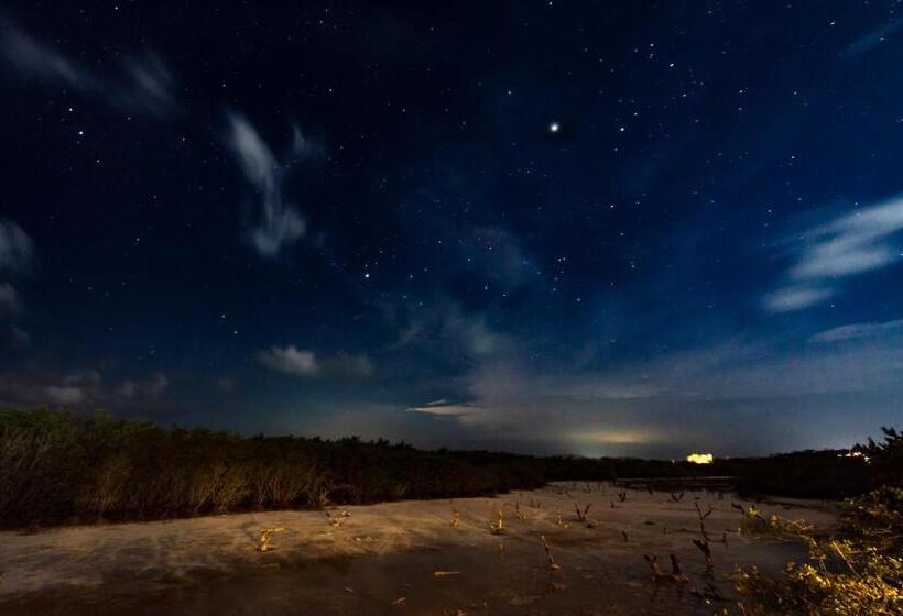 酒店 La Casa Del Alux   Adults Only