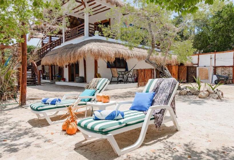 酒店 La Casa Del Alux   Adults Only