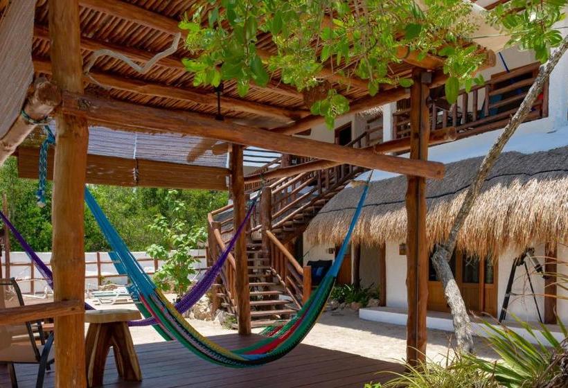 酒店 La Casa Del Alux   Adults Only