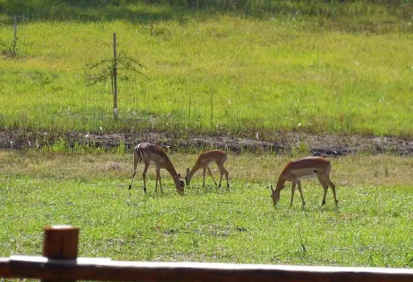Monzi Safari Lodge
