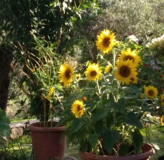 Volidiera Guesthouse