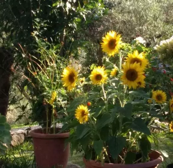 Volidiera Guesthouse