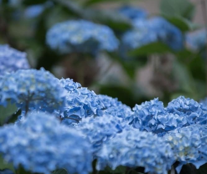 בית מלון כפרי Logis Hôtel Auberge De L Espinouse