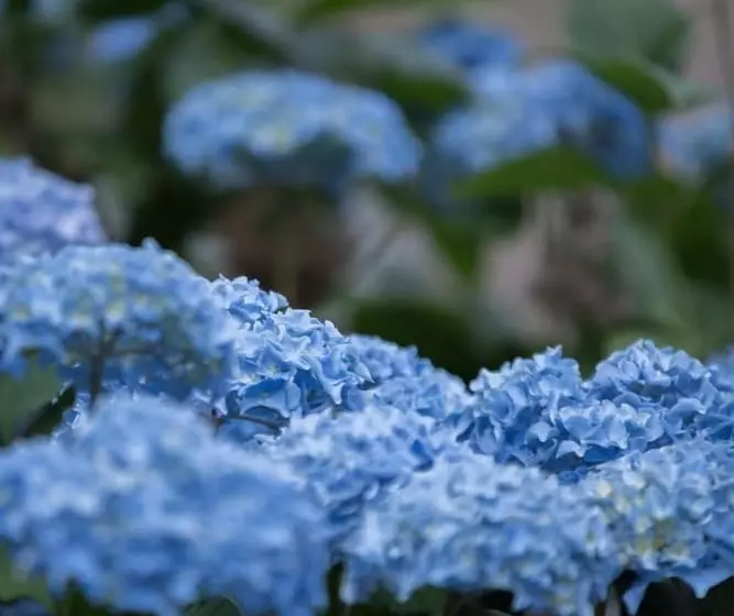 Hotelli Logis Hôtel Auberge De L Espinouse