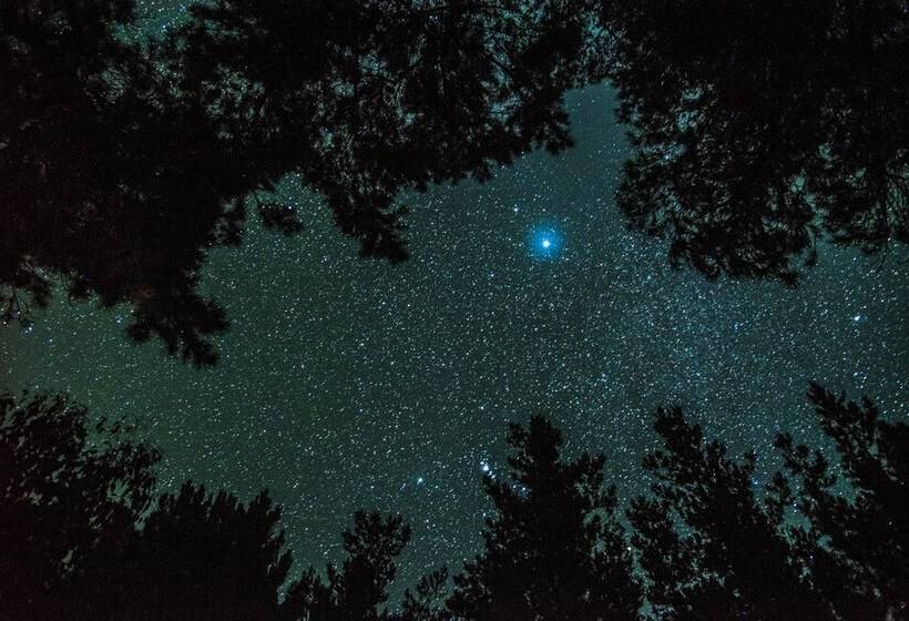 ホテル Cape Howe Cottages