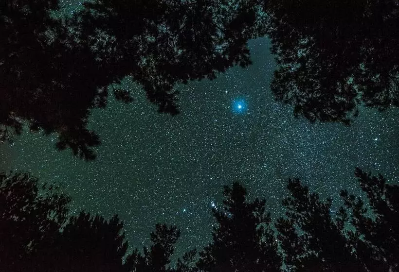 ホテル Cape Howe Cottages