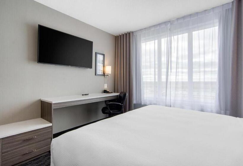 فندق Comfort Inn & Suites