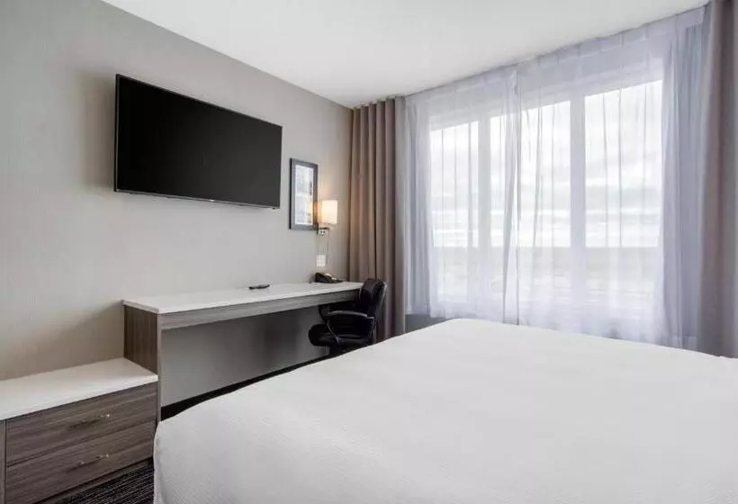ホテル Comfort Inn & Suites