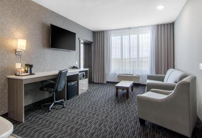 فندق Comfort Inn & Suites