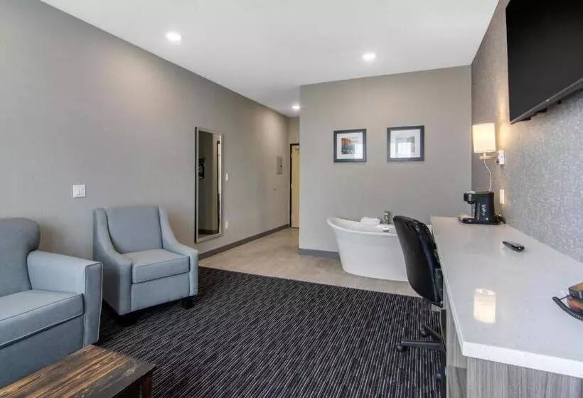 ホテル Comfort Inn & Suites