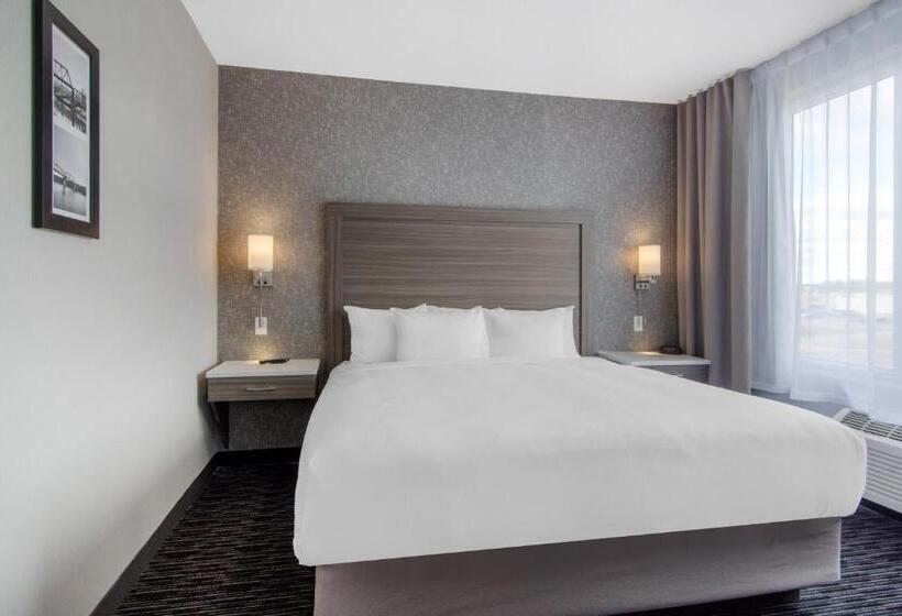 فندق Comfort Inn & Suites