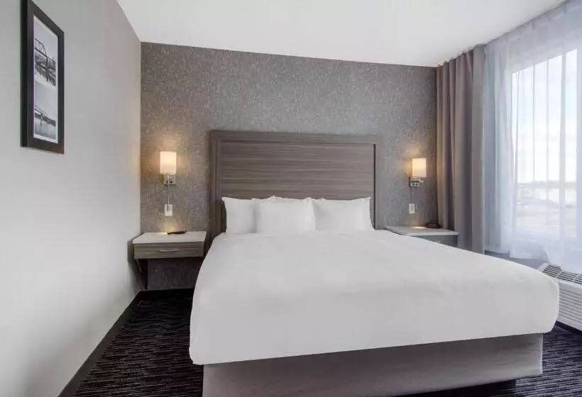 ホテル Comfort Inn & Suites