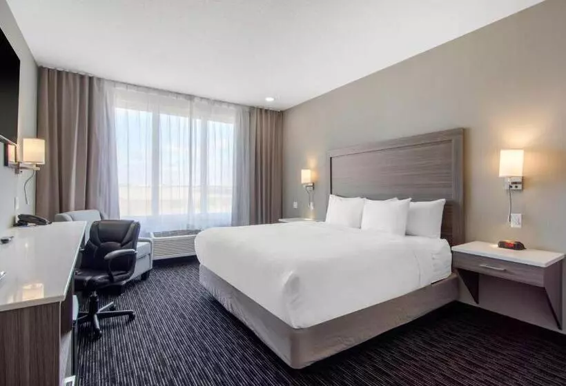 ホテル Comfort Inn & Suites