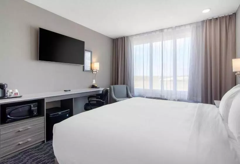 ホテル Comfort Inn & Suites