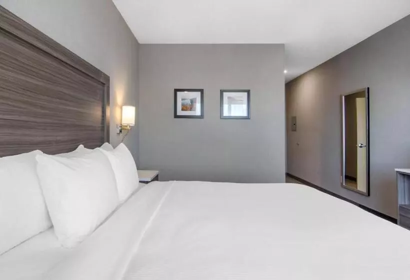 ホテル Comfort Inn & Suites