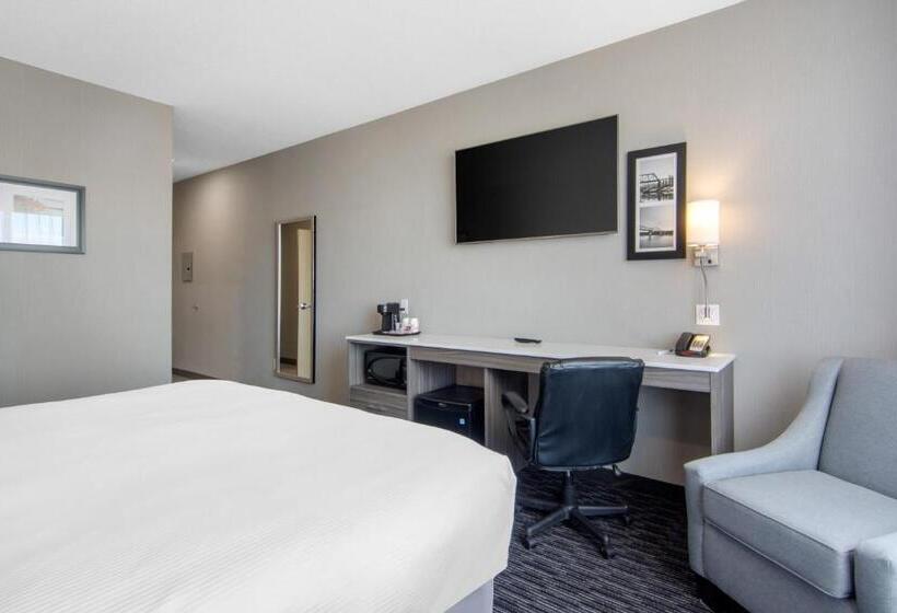 فندق Comfort Inn & Suites