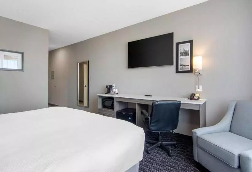 ホテル Comfort Inn & Suites