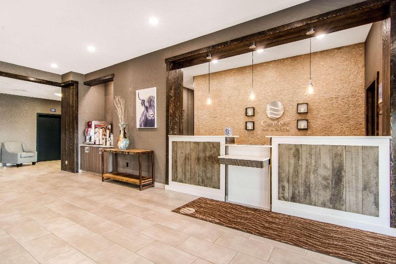 فندق Comfort Inn & Suites