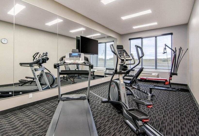 فندق Comfort Inn & Suites