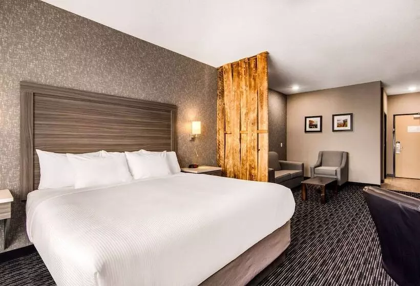 ホテル Comfort Inn & Suites