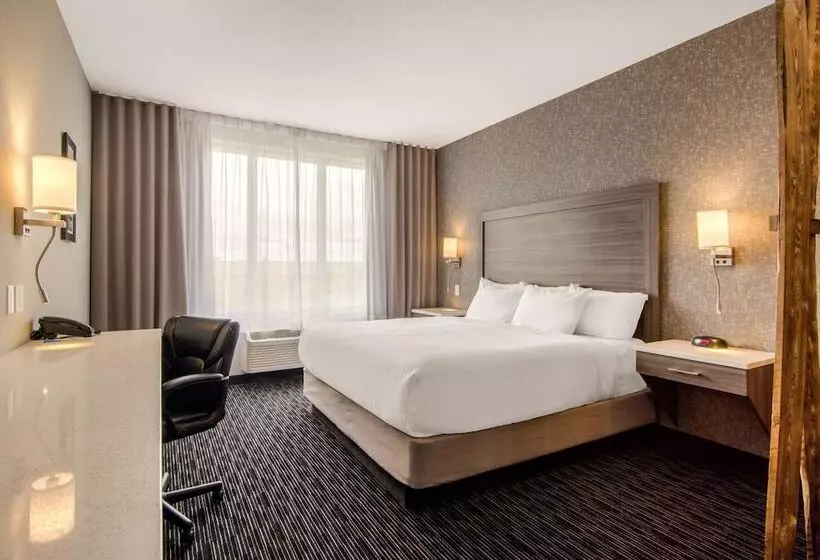 ホテル Comfort Inn & Suites