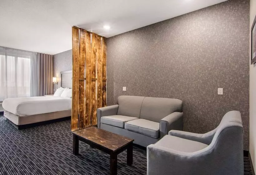 ホテル Comfort Inn & Suites