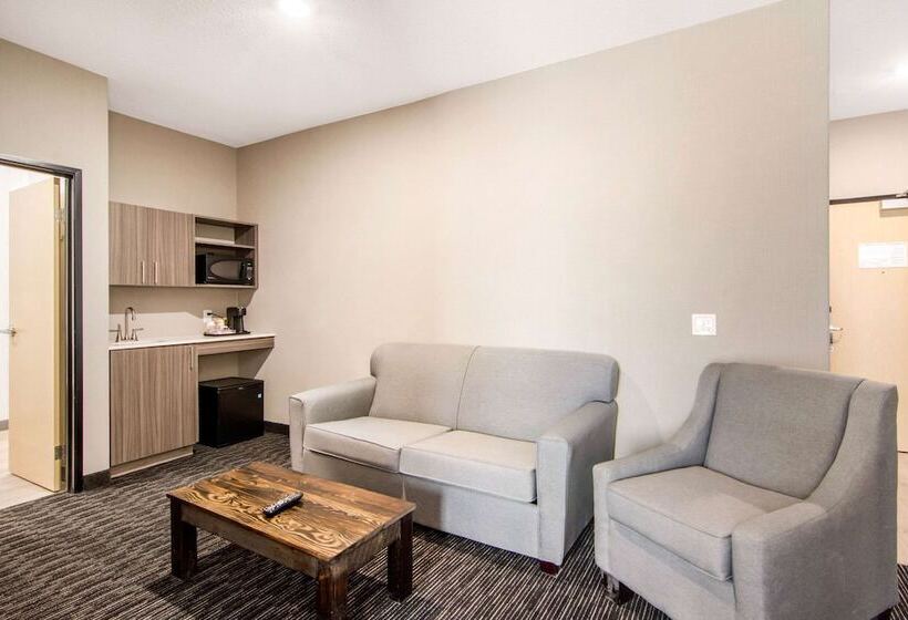 فندق Comfort Inn & Suites