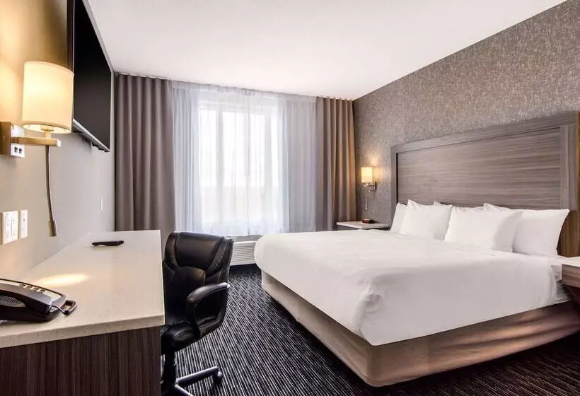 ホテル Comfort Inn & Suites