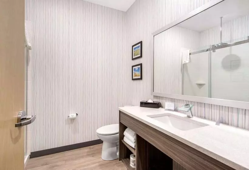 ホテル Comfort Inn & Suites