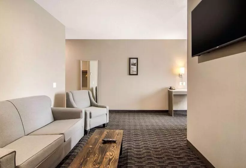 ホテル Comfort Inn & Suites