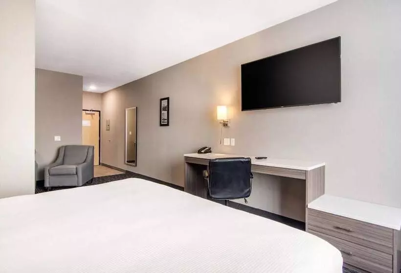 ホテル Comfort Inn & Suites