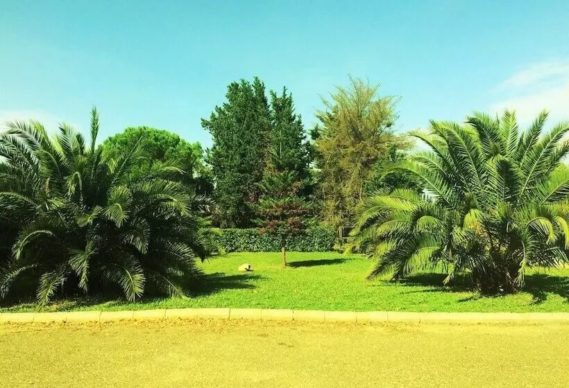 هتل Diamante Di Matera