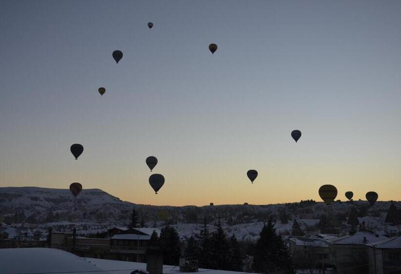酒店 Shoestring Stone House