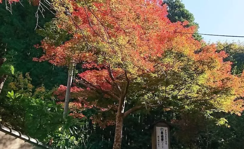 Hotelli Gyozantei Yamabuki