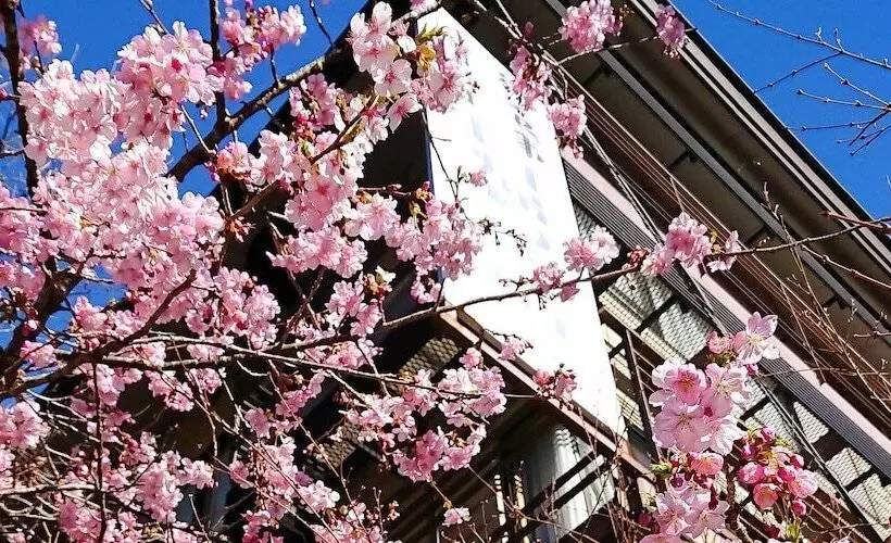 Hotelli Gyozantei Yamabuki