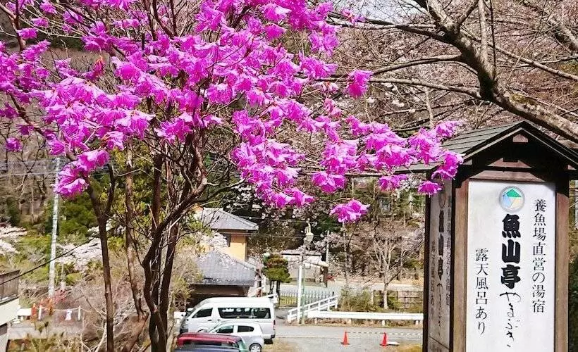 Hotelli Gyozantei Yamabuki